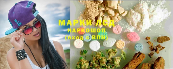 ГАЛЛЮЦИНОГЕННЫЕ ГРИБЫ Балахна